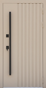 Входная дверь с металлорейками, длинной ручкой и порошковой покраской (RAL 1001)